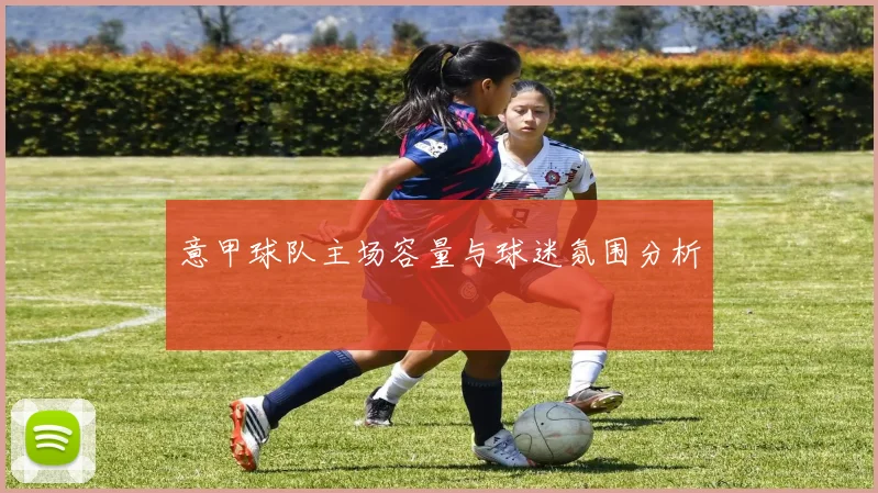 意甲球队主场容量与球迷氛围分析