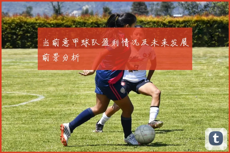 当前意甲球队盈利情况及未来发展前景分析