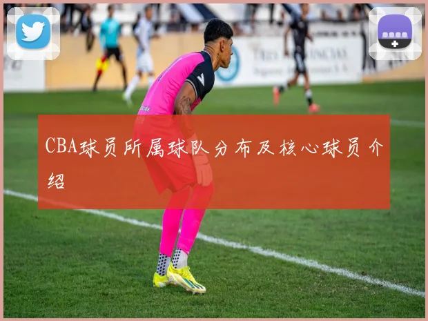 CBA球员所属球队分布及核心球员介绍