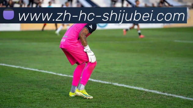 奖项证书